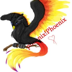 Phoenix Wright Kink Meme Wiki Fandom