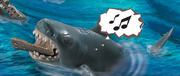 SharkThinkingmusic.png