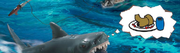 SharkHungry.png