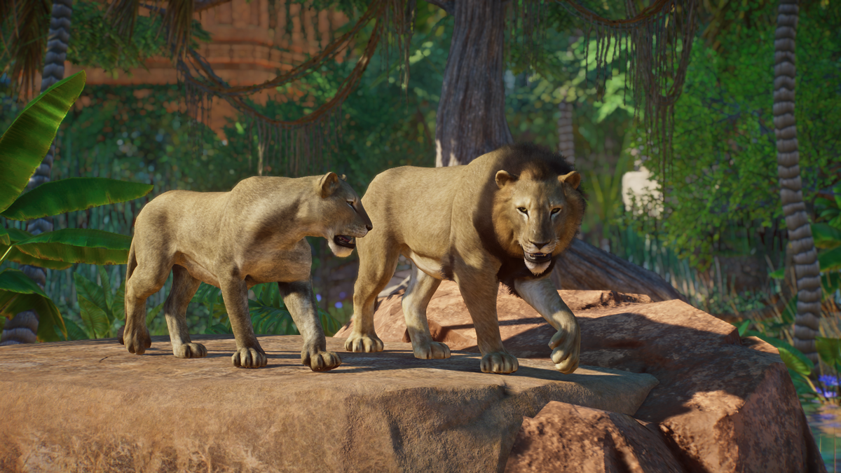 Asiatic Lion (Havok1199) | Planet Zoo Modding Library Wiki | Fandom