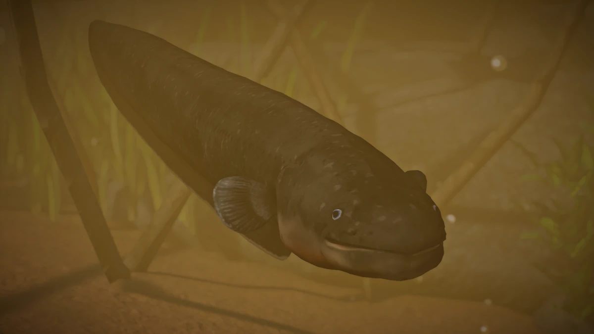 Electric Eel (Buffzoo) Zoo Modding Library Wiki Fandom