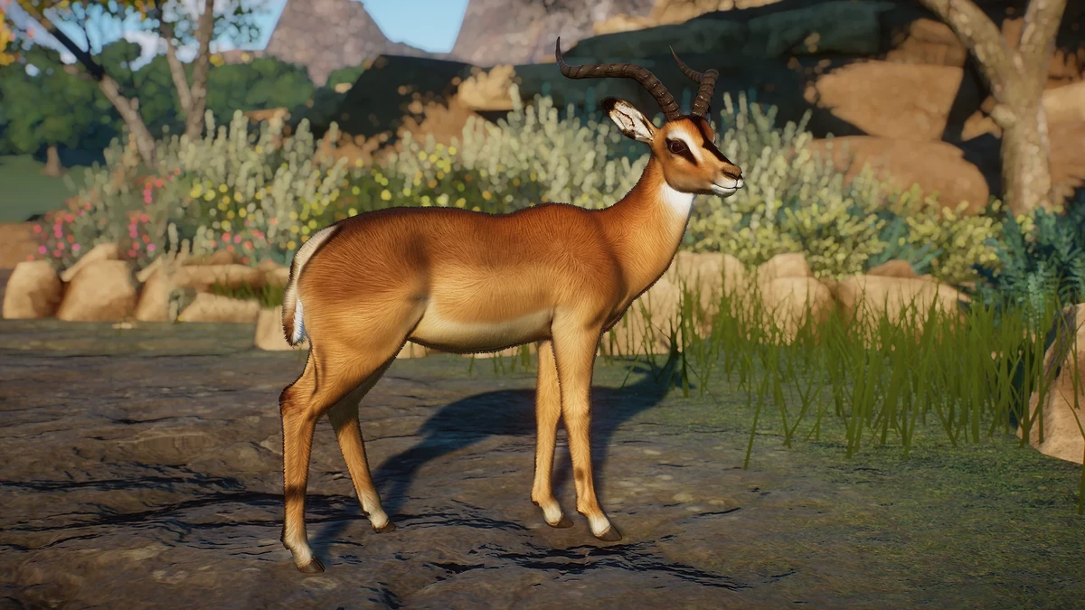 BlackFaced Impala (Bubblywums) Zoo Modding Library Wiki Fandom