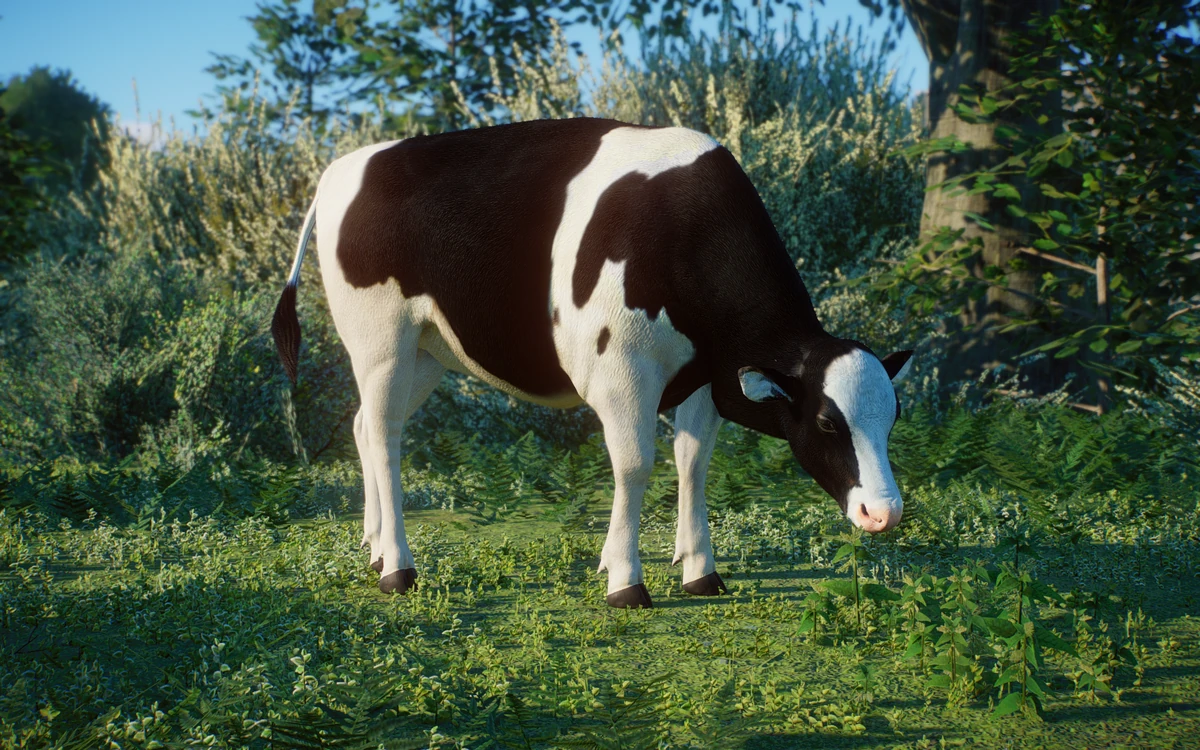 Holstein Friesian Cow (Monsoon) Zoo Modding Library Wiki Fandom