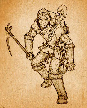 Equipment Quest For Glory Pathfinder Wiki Fandom Equipment Quest For Glory Pathfinder Wiki Fandom