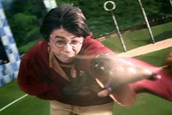 Harry Potter trying to catch the  during the 1992 Gryffindor-Slytherin Quidditch match.