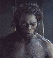 Firenze, the centaur with a very different manner from the rest.