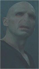 Voldemort Profile Infobox