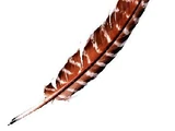 Quill