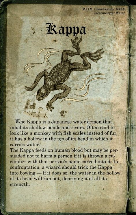Kappa on sale harry potter