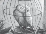 Hedwig