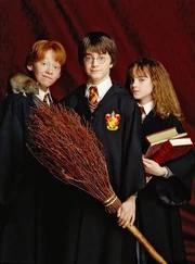 Trio in their younger days Harry, Ron and Hermione