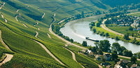 Mosel