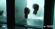 Frozen Boxing Gloves Teaser Poster