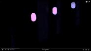 Video 5