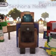 Senhora neide