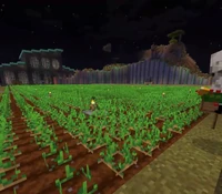 Tubbo's Potato Farm