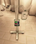 Jorgito sous un angle plus rapproché