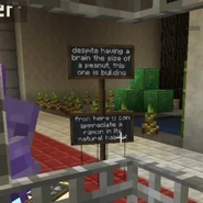 From here, you can appreciate a ramon in its natural habitat / Despite having a brain the size of a peanut, this one is building