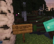 ola conciencia se les kiere mucho [2]