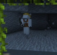 A Worker breaking the wall