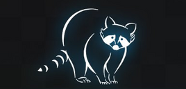 TeamRaccoon.Logo