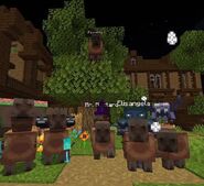 A group of the capybaras