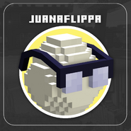 JuanaFlippa Info Icon[45]