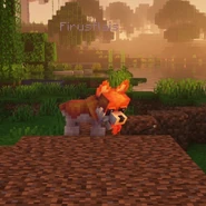 Firusflais looking down