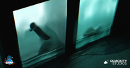 Frozen Skateboard and Turtle Teaser Poster