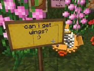 can I get wings? :)