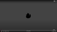 Video 4b