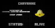 Chayanne's Experiment Status