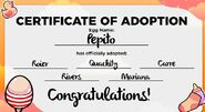 Pepito's certificate of adoption