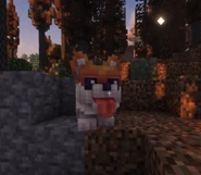 Firusflais in a forest