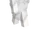 Ghosty