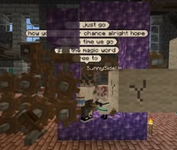 Sunny's Time Machine