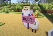 HOLA [42]