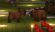 The first time Quackity saw the Capybaras