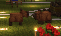 Capybaras, QSMP Wiki