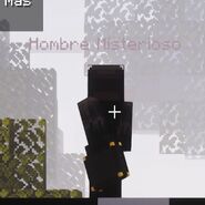 Hombre Misterioso holding his suitcase.