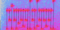 The keys being pressed in the audio.