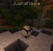 JuanaFlippa CrackedCode.png (641 KB) Ju4n4 In The Cave She Was Found In