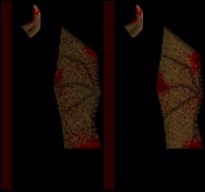 Texture map for the gibbed wing