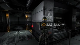 SGT Swekel - Raven Squad