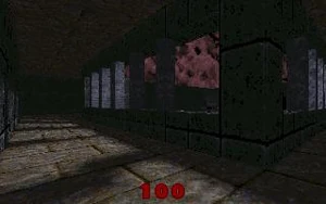 QUAKE00.JPG. This might be early version of E3M6: Chambers of Torment.