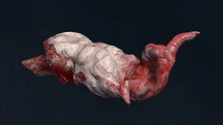 QC Weapon Shambler Arm