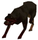 ThDoggy.png