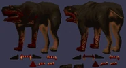 RottweilerTexture.png (1.28 MB) Texture map