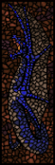 Window01 2.png (35 KB)
