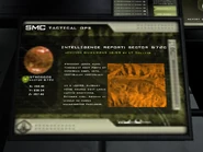 Intelligence Report Latin